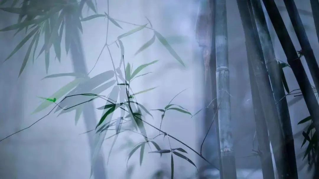 1661414882993226.jpg 640.jpg