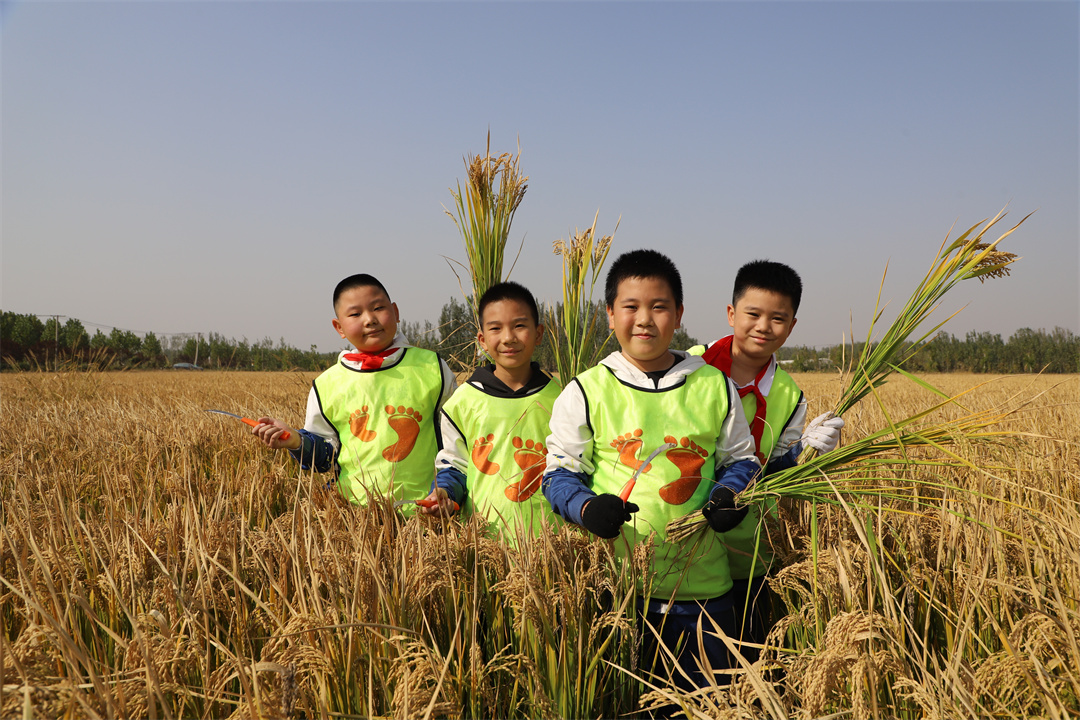 1669100200432514.jpg 4.2.jpg